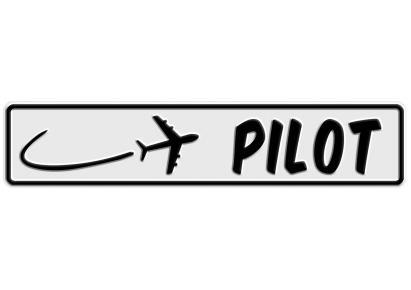 Pilot 1